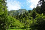 2014-07-05_Laengental-N-Hochweg (523). JPG